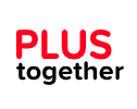 Simple Perfect Logo